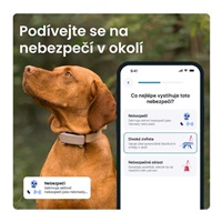 Tractive DOG 6 – GPS lokátor pro psy a monitor zdraví, hnědý