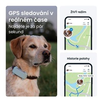 Tractive DOG 6 – GPS lokátor pro psy a monitor zdraví, mátový