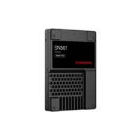 SanDisk Carrera Syndicate SSD 12.8TB DC, SN861, PCIe Gen5, (R:13700, W:8400MB/s), BICS6 TLC NVMe U.2, TCG Opal,Generic