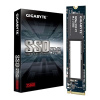 GIGABYTE SSD NVMe V2 256GB, PCIe Gen3x4, M.2 2280, (R:3200MB/s,W:1200MB/s)