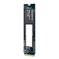 GIGABYTE SSD NVMe V2 256GB, PCIe Gen3x4, M.2 2280, (R:3200MB/s,W:1200MB/s)