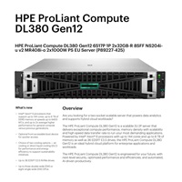 HPE PL DL380 Gen12 6517P (3.2/16C) 2x32G (P69727) NS204(2x480) MR408i-o 8SFF 2x1000W 10GbE NBD333 Smart Choice