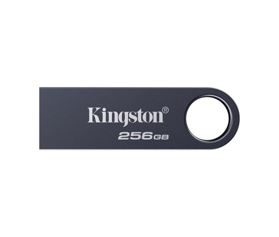 Kingston Flash Disk 256GB DataTraveler SE9 G3, USB 3.2 Gen 1, šedá