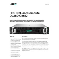 HPE PL DL380g12 6505P (2.2/12C) 2x32G (P69727) 2x8TB MR416i-o 2x1000W 10GbE NBD333 Smart Choice