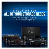 PNY SSD CS1030 500GB, PCIe Gen3x4, M.2 2280, (R:2500/ W:1100MB/s)