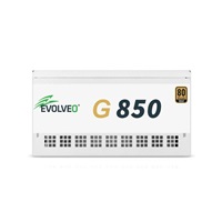 EVOLVEO G850 zdroj 850W, 80+ GOLD, ATX 3.1, aPFC, 140 mm ventilátor, záruka 3 roky, bílý