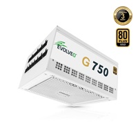 EVOLVEO G750 zdroj 750W, 80+ GOLD, ATX 3.1, aPFC, 140 mm ventilátor, záruka 3 roky, bílý