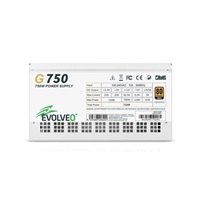 EVOLVEO G750 zdroj 750W, 80+ GOLD, ATX 3.1, aPFC, 140 mm ventilátor, záruka 3 roky, bílý
