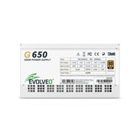 EVOLVEO G650 zdroj 650W, 80+ GOLD, ATX 3.1, aPFC, 140 mm ventilátor, záruka 3 roky, bílý