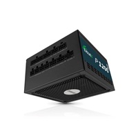 EVOLVEO P1200 zdroj 1200W, 80+ PLATINUM, ATX 3.1, aPFC, 140 mm ventilátor, 3 roky záruka, černý