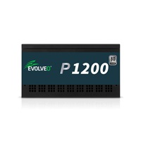 EVOLVEO P1200 zdroj 1200W, 80+ PLATINUM, ATX 3.1, aPFC, 140 mm ventilátor, 3 roky záruka, černý