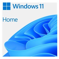 10 PCK Windows 11 Home 64Bit OEM + JBL Flip 7