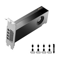 PNY VGA NVIDIA RTX PRO 2000 Blackwell 16G, 16G GDDR7, 4xmDP