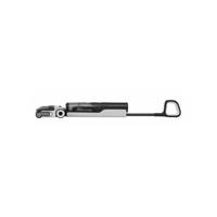 Roborock F25 ACE Black