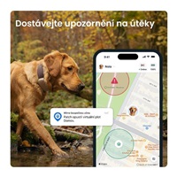 Tractive DOG 6 XL – Smart GPS Tracker for Dogs with Vitals Monitoring & Health Alerts, Brown