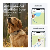 Tractive DOG 6 XL – Smart GPS Tracker for Dogs with Vitals Monitoring & Health Alerts, Brown