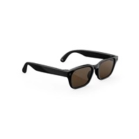 Meta Ray-Ban AI brýle Adventurer, Classic Black/Brown