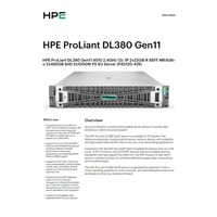 HPE PL DL380g11 4510 (2.4G/12C) 2x32G (p64706) 8SFF MR408i-o 2x1000W o4p1T Smart Choice