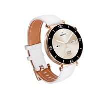 BAZAR - Garett Smartwatch ROSE zlatá, Mesh steel - Poškozený obal (Komplet)