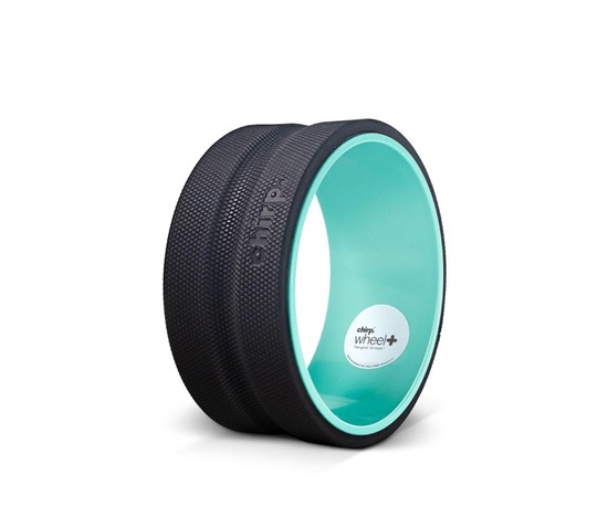Chirp Wheel+ 10"