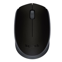 Logitech Wireless Mouse M171, black