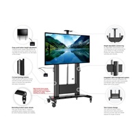 Profesionální televizní stojan s motorizovaným posunem výšky obrazovky, na Tv 55-100", Fiber Mounts TW100